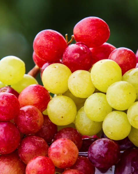 Grapes-1