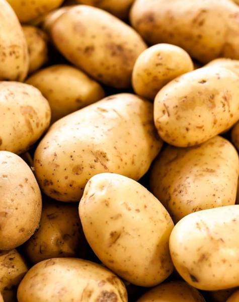 Potato-4