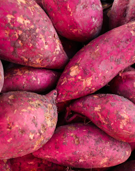 Sweet potato-3