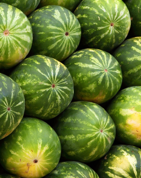 Watermelon-3