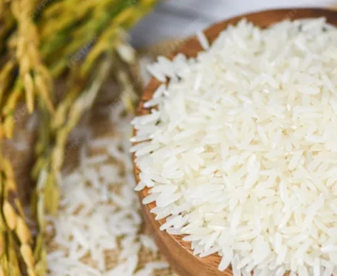 Premium Non-Basmati Rice Export from India Non-Basmati Rice Import from India