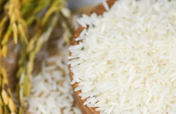 Non-Basmati Rice Import from India