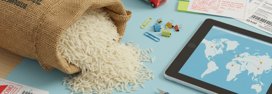 Documents required for rice import including shipping papers, customs documents, logistics, and export-quality rice.