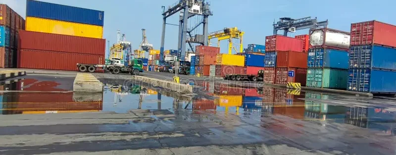 How Container Loading Is Done for Rice Export – Shipping Containers Ready for International Rice Export by VM Exim